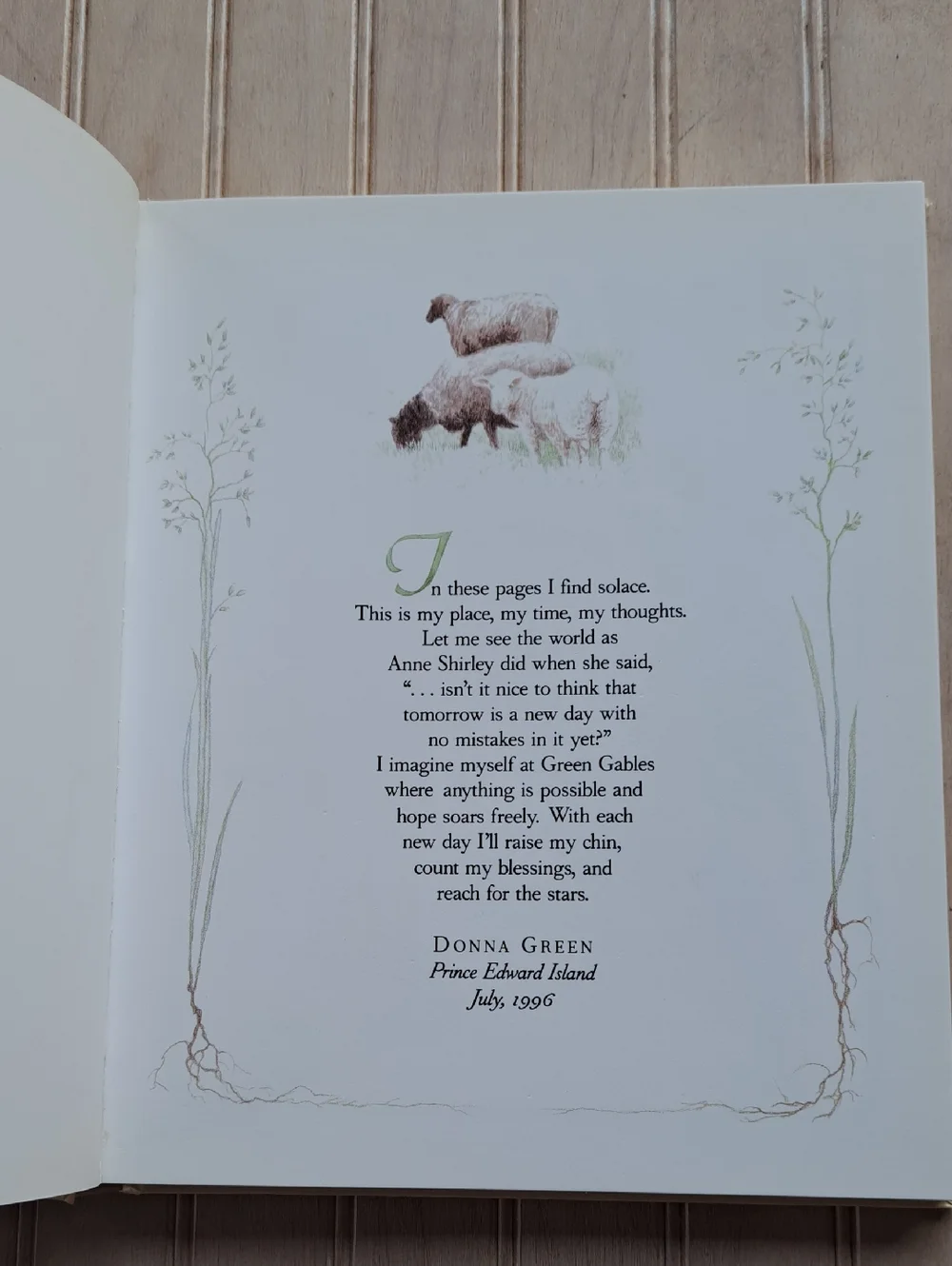 Anne of Green Gables Journal Hardcover L.M. Montgomery Donna Green Gift Book